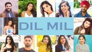 Dilmil co